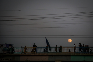 Arbaeen walk; Divaniyeh route