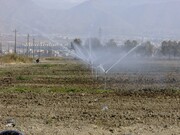 سامانه آبیاری نوین در ۳۵۰ هکتار کشتزار گناباد به کار گرفته شد