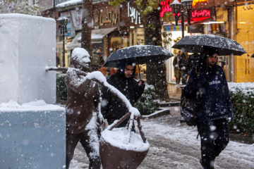 Iran-décembre 2024 : chutes de neige d’automne à Rasht au nord (Photo : Mojtaba Mohammadi)