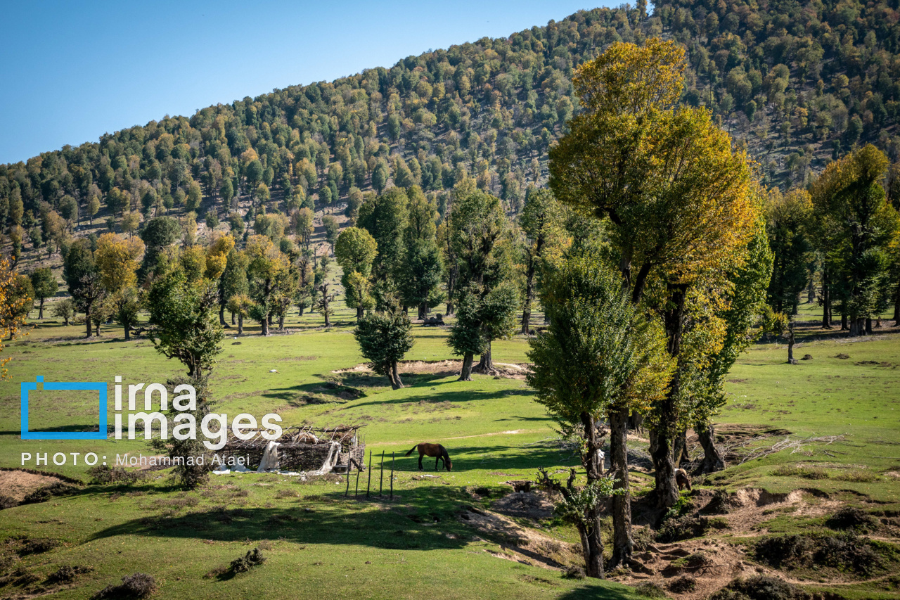 دشت مرکوه در استان گلستان