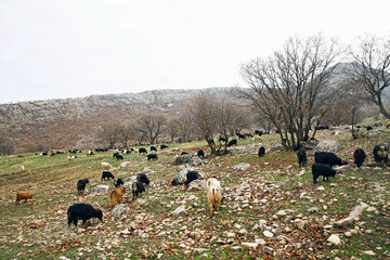 Iran : le village Bandoul à l’ouest