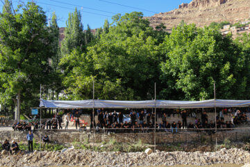 تاسوعای حسینی در روستای اسفیدان