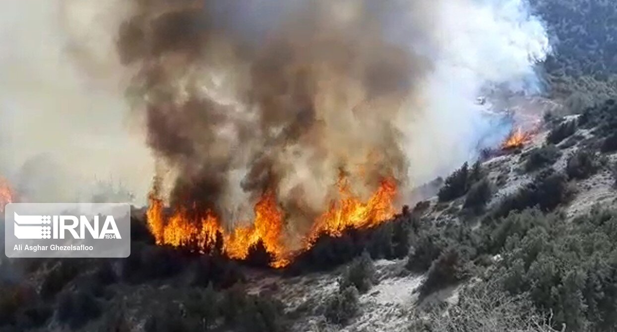 فیلم: آتش سوزی منطقه حفاظت شده جهان نمای گلستان