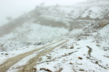 طبیعت پائیزی کوهستان