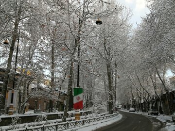 Snowy day in 1st days of winter in Tehran