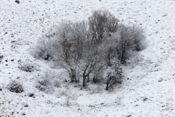 سپیدپوش شدن مناطق کوهستانی کردستان